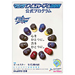 マツダオールスターゲーム2011　公式プログラム