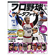 週刊プロ野球データファイル041号