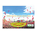 2024 楽天イーグルス卓上カレンダー（東北楽天）