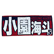 25 応援フェイスタオル（広島東洋）