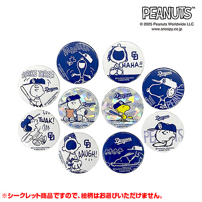 S*様 中日ドラゴンズ　細川　アクリルスタンド　当たり　シークレット S*様 中日ドラゴンズ 細川 アクリルスタンド 当たり