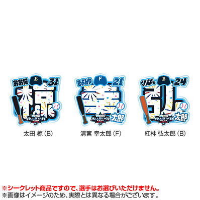 マイナビオールスターゲーム2025 シークレット アクリルネーム