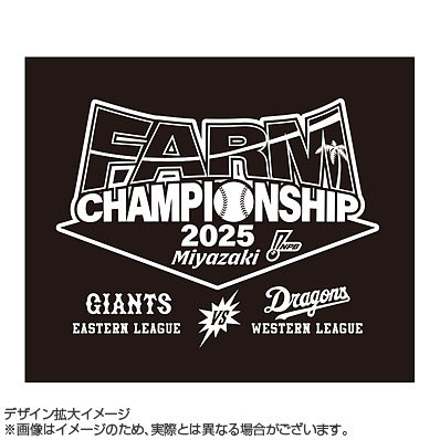 2025年プロ野球ファーム日本選手権 記念ボール 使用済み試合球　再抽選販売 2025年プロ野球ファーム日本選手権使用済み試合球】 プレートには