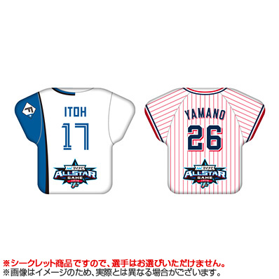 マイナビオールスターゲーム2026 ファン投票選出選手名 シークレット
