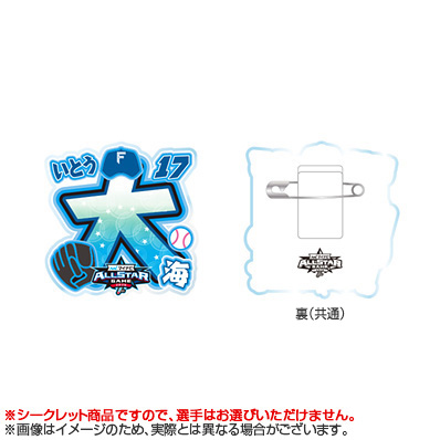 マイナビオールスターゲーム2026 ファン投票選出選手名 シークレット