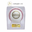 2026年プロ野球ファーム日本選手権 使用済み試合球【決勝】