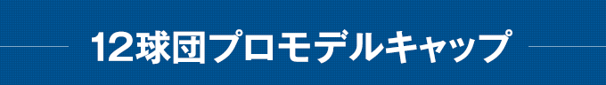 12球団プロモデルキャップ