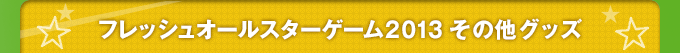 フレッシュオールスターゲーム2013　その他グッズ