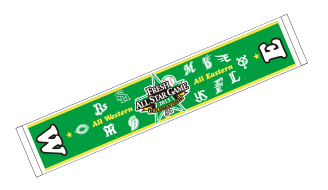 フレッシュオールスターゲーム2013　タオルマフラー