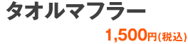 フレッシュオールスターゲーム2013　タオルマフラー