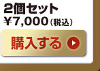 2個セット　7,000円（税込）