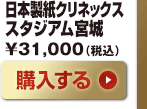 日本製紙クリネックススタジアム宮城　31,000（税込）
