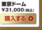 東京ドーム　31,000（税込）
