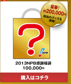 2013NPB感謝福袋 10万円--ご購入はこちら