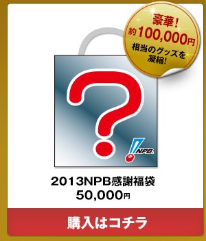 2013NPB感謝福袋 5万円--ご購入はこちら