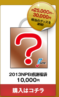 2013NPB感謝福袋 1万円--ご購入はこちら