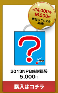 2013NPB感謝福袋 5千円--ご購入はこちら