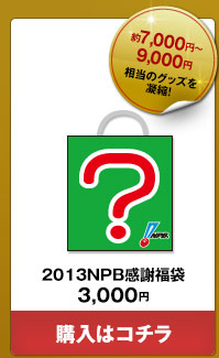 2013NPB感謝福袋　3千円--ご購入はこちら