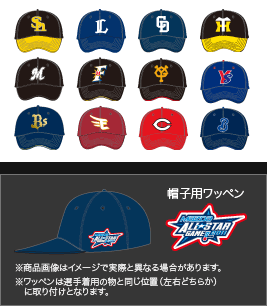 織り柄チェック プロ野球 NPB ワッペン | kinderpartys.at