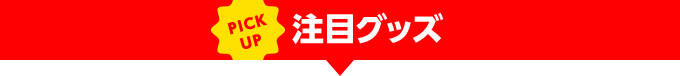 注目グッズ