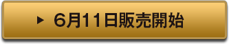 6月11日販売開始