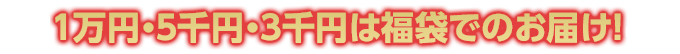 1万円・5千円・3千円は福袋でのお届け！